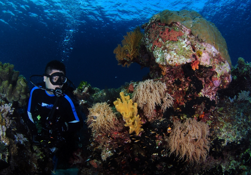 Keindahan alam bawah laut di Taman Nasional Takabonerate Kepulauan Selayar. Festival Takabonerate akan kembali hadir dari 26-30 Oktober 2023. Foto: Dok. Dinas Pariwisata dan Kebudayaan Kepulauan Selayar