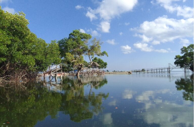 Pulau Pasi Gusung di Kecamatan Bontoharu, Kepulauan Selayar. Kawasan ini dalam tahap validasi untuk memperoleh Kajian Lingkungan Hidup Strategis (KLHS) untuk kepentingan pengembangan wilayah secara jangka panjang. (Foto: Istimewa)