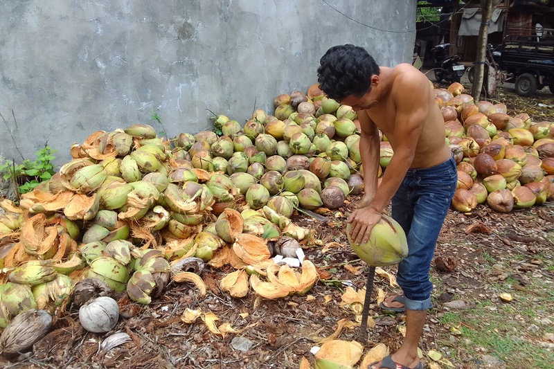 Pengelolaan buah kelapa secara tradisional oleh warga Selayar. (Foto: Istimewa)