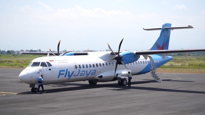 Fly Jaya